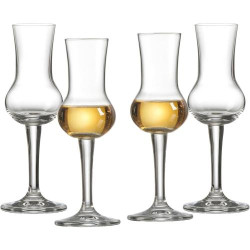 Présentation Verres à Grappa Mambo, Lot de 4, Ritzenhoff Breker