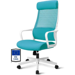 Présentation Chaise Bureau Ergonomique, Support Lombaire, Maille Respirante, Bleu