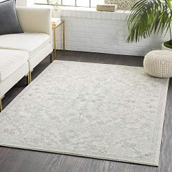 Présentation Tapis Surya Asmara Vintage Gris Clair pour Tout Intérieur Chic