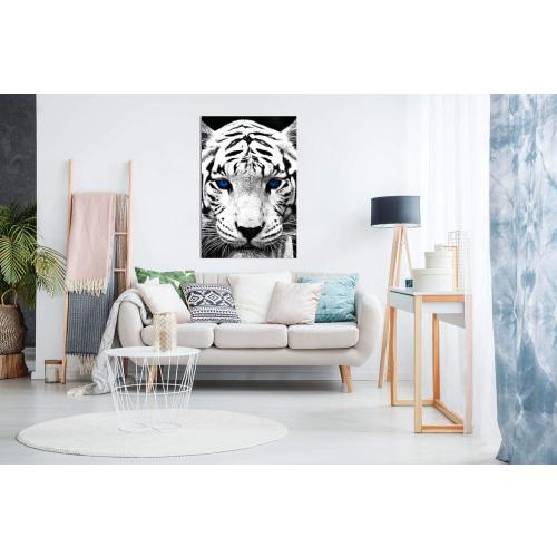 Présentation de Zoom sur Tableau toile Panther Print, tigre blanc, yeux bleus