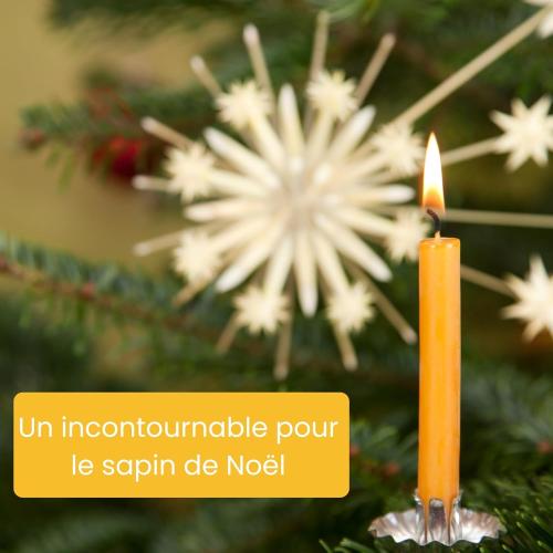 Présentation de Bougies sapin Noël, cire d’abeille 100% pure, 20 pièces en situation