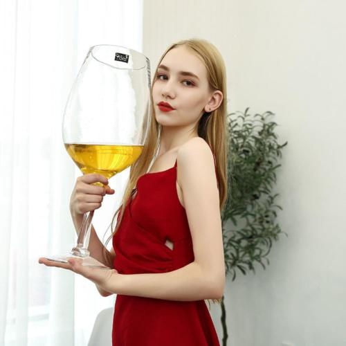 Présentation de Zoom sur YUANXIN Grand Verre à Vin Géant 6500 ml Créatif