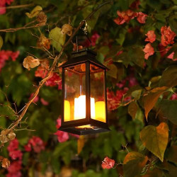 Lanterne solaire jardin Tomshine, 2 pcs LED décoratives en situation