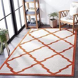 Présentation Tapis de Salon Rectangulaire Safavieh Lila Beige Bleu Polypropylène