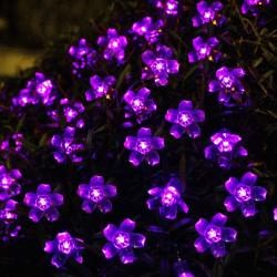 Guirlande Lumineuse Solaire Fleur Jardin Violet, 50LED en situation