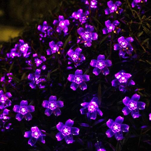 Présentation de Guirlande Lumineuse Solaire Fleur Jardin Violet, 50LED en situation