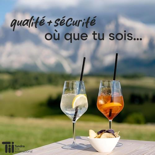 Présentation de Verres à vin blanc, rouge, Tritan, incassables, réutilisables en situation