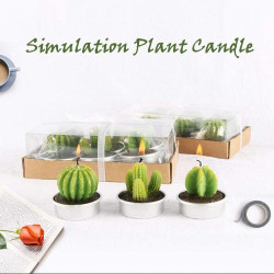 Bougies Parfumées Cactus Mini CHSG, Décoration Sans Fumée en situation