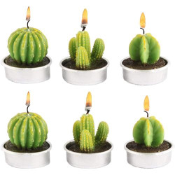 Présentation Bougies Parfumées Cactus Mini CHSG, Décoration Sans Fumée