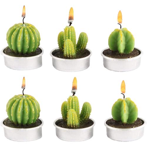 Présentation de Présentation Bougies Parfumées Cactus Mini CHSG, Décoration Sans Fumée