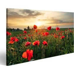 Présentation Tableau Toile Fleur Coquelicots Coucher Soleil Décoration