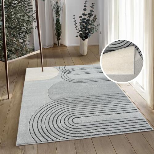 Présentation de Zoom sur Tapis salon poils courts gris, style bohème moderne