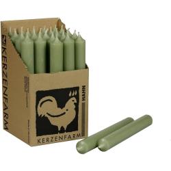 Présentation Bougies de table vert sauge, lot de 10, décoration fête