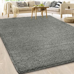 Présentation Tapis Shaggy Doux, Épais, Qualité Allemande, Gris