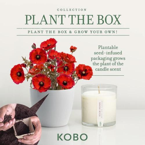 Présentation de Zoom sur Bougie Kobo Graines, Siam Poppy Parfum Envoûtant