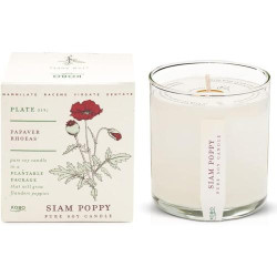 Présentation Bougie Kobo Graines, Siam Poppy Parfum Envoûtant