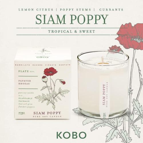 Présentation de Bougie Kobo Graines, Siam Poppy Parfum Envoûtant en situation