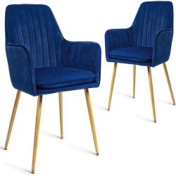 Présentation Lot de 2 Fauteuils Modernes en Velours pour Salon et Cuisine