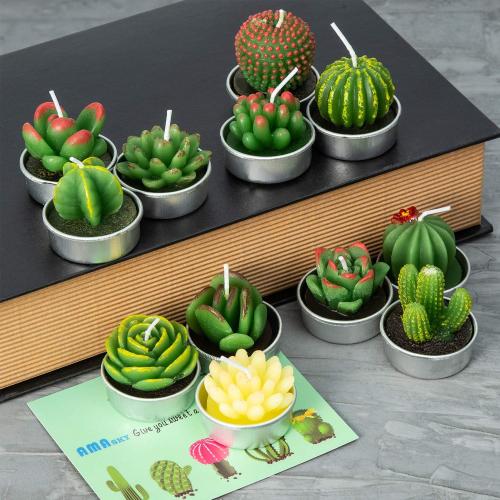 Présentation de Zoom sur Bougies Succulentes Artisanales, Lot de 12, Décoration Maison