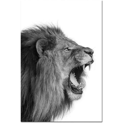 Présentation de Zoom sur Affiche Lion Lionne Noir Blanc Art Animaux Murale