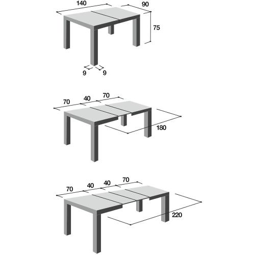 Présentation de Zoom sur Table extensible moderne Icreo Dionisio chêne rustique