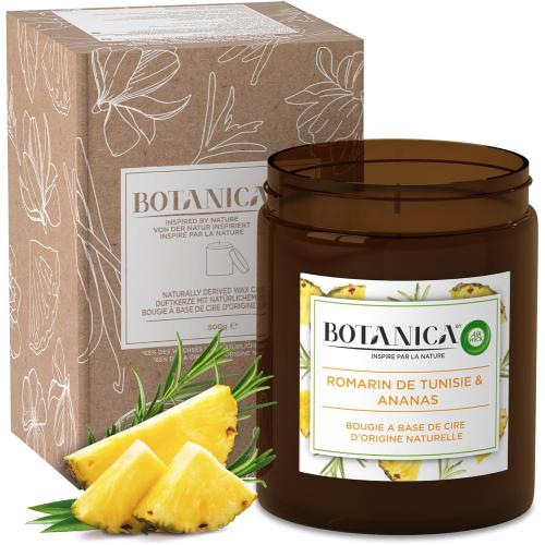 Présentation de Présentation Bougie Parfumée Air Wick Botanica Romarin, Ananas, Naturelle