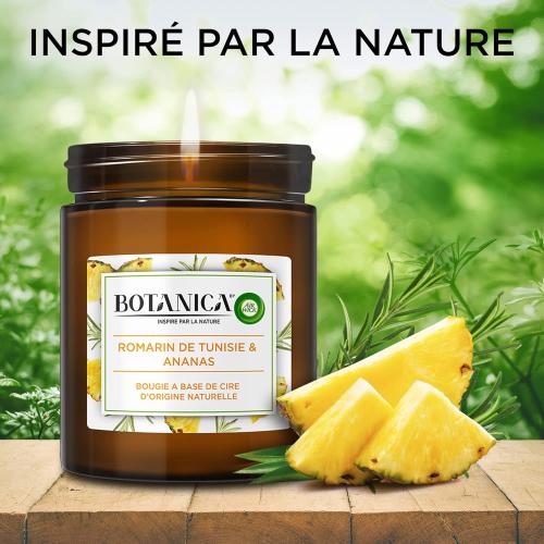 Présentation de Zoom sur Bougie Parfumée Air Wick Botanica Romarin, Ananas, Naturelle