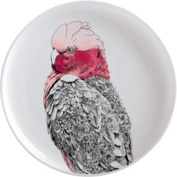 Présentation Maxwell Williams Assiette Porcelaine Cacatoes Rose Multicolore