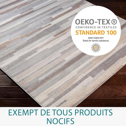 Présentation de Zoom sur Tapis Moderne Abstrait Livabliss, Design Marbre Multicolore