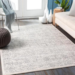 Présentation Tapis Vintage Multicolore Boho Chic, Design Oriental Ivoire, Gris