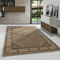 Présentation Tapis Beige Oriental Carpetsale24, Poils Ras, Salon, Couloir