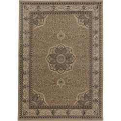 Tapis Beige Oriental Carpetsale24, Poils Ras, Salon, Couloir en situation