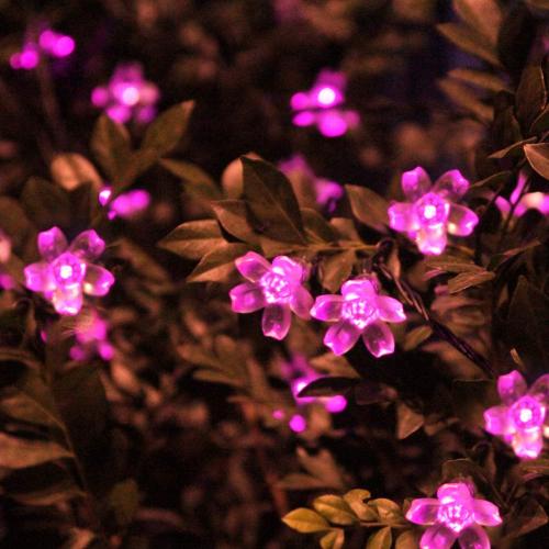 Présentation de Guirlande Lumineuse Solaire Fleur de Pêche, 50LED Rose en situation