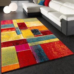 Présentation Tapis Moderne Vintage Motif Abstrait pour Salon Chambre