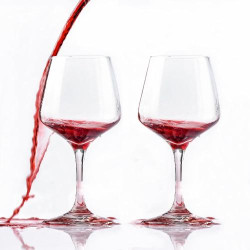 Présentation IVEOPPE Verres à vin incassables, lot de 2, 440 ml