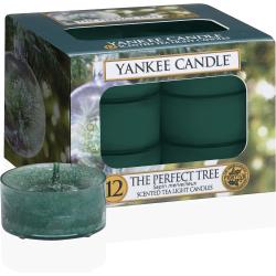 Présentation Bougies Chauffe Plat Yankee Candle, Sapin Merveilleux, 12 unités